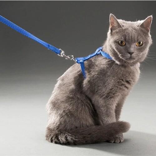 1PC Cat Dog Leash and Adjustable Collar Harness Nylon Pet Traction Cat Kitten Halter Cats Products for Cat Puppy Small Dogs