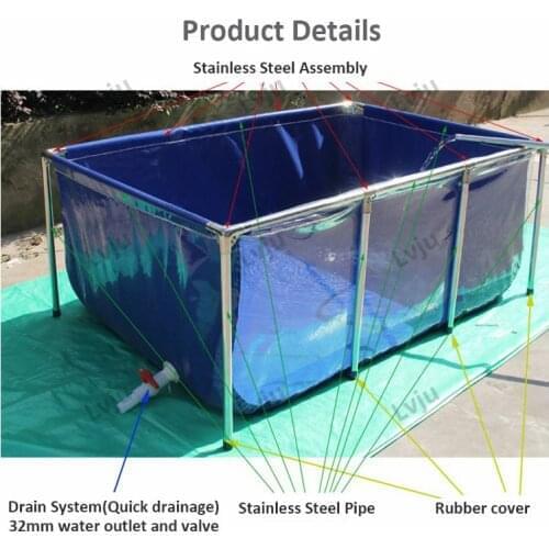 Lvju Unique Koi/Betta Fish Pond Ornamental Translucent Clear Mini Gold Fish Tank Aquarium