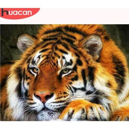 HUACAN Diamond Painting Tiger Animal Full Square Round Drill Home Decor Craft Kits Embroidery Bead Mosaic Picture Of Rhinestone