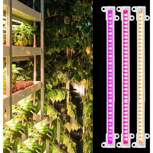 LeeandHan Plant Lamps