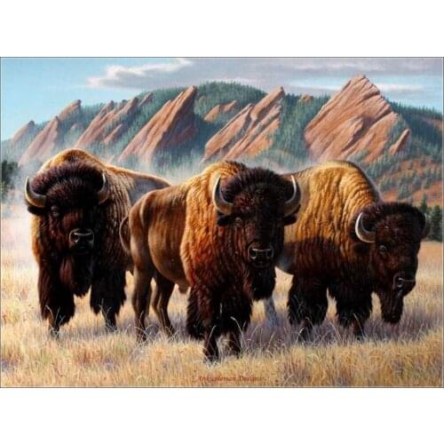 Embroidery Counted Cross Stitch Kits Needlework - Crafts 14 ct DMC Color DIY Arts Handmade Decor - Bison under the Flatirons