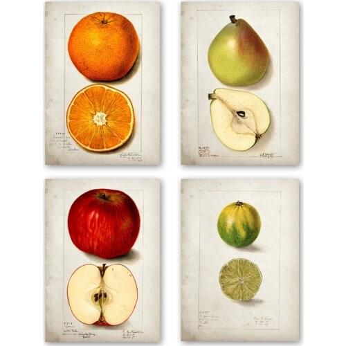 Poster Home Decor Stickers 5PCS/Set Retro Fruit Hanging Paintings Kitchen Wall Apple Orange Pineapple Decorative Painting