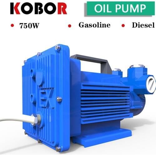 12V/24V gasoline pump with explosion-proof system micro fuel pump self-priming electric diesel pump 600W 60l / min