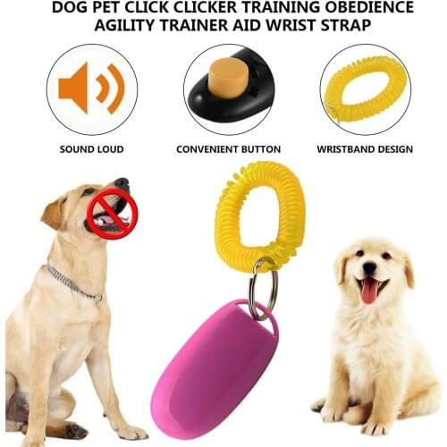 Hot Newest Dog Pet Training Obedience Agility Trainer Pet Supplies Aid Wrist Strap Great for Training Obedience Agility
