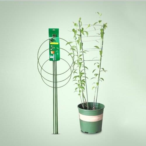 High Quality Conical Vegetables Plants Support Vine Climbing Rack 45cm Frame Flower Decorative Garden Tools