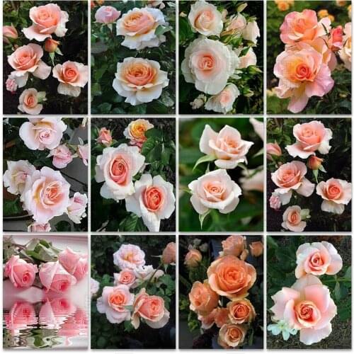 Full Drill Diamond Painting Flowers Diy Diamond Embroidery Sale Pink Rose Pictures Rhinestones Home Wall Decor Hobby Craft Gift