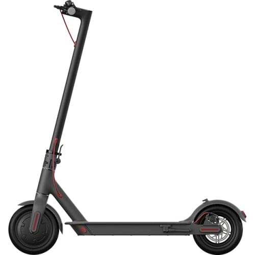 LEDOXX Goods For Sports And Recreation