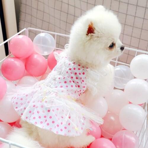 Dog Princess Pettiskirt Poodle Dresses Chihuahua Bichon Rainbow Lace Clothes Puppy Wave Point Dress Cat Rabbit Skirt Ropa Perro