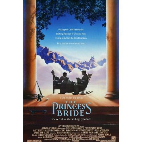 NEW THE PRINCESS BRIDE MOVIE Art print Silk poster Home Wall Decor