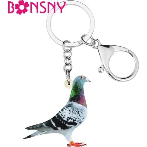 Bonsny Acrylic Carrier Pigeon Key Chains Bird Key Rings Bag Car Purse Decorations Keychains For Women Girls Teen Men Charms Gift