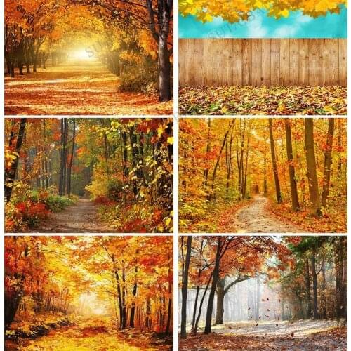 Dreamy Forest Tree Falling Autumn Leaves Natural Scenery Photography Backdrop Photographic Backgrounds for Photo Studio