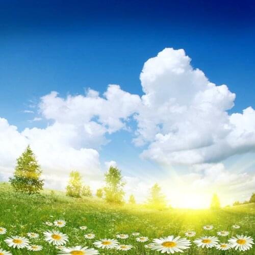 White cloud blue sky backgrounds vinyl newborn portrait baby shower flowers photography backdrops for photo studio props LV-2423