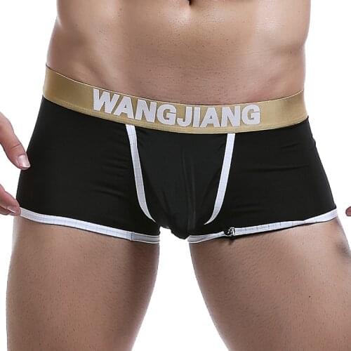 Men Open Front Sexy Bikini Underwear Boxers Ice Silk Transparent Boxer Shorts Men Crotch Hole Male Underpants Slip Homme