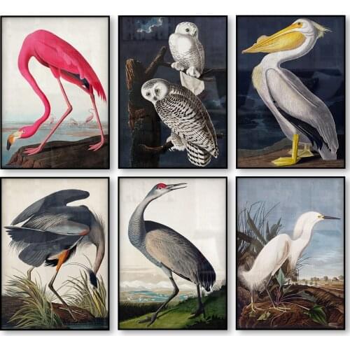 Vintage Bird Canvas Painting Print Audubon Bird Posters Pink Flamingo Snowy Owl Pelican Blue Heron White Egret Wall Art