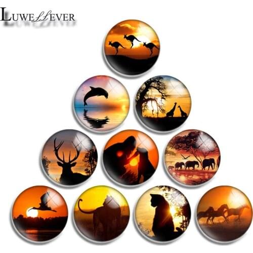 12mm 14mm 16mm 20mm 25mm 30mm 577 Sunset Animal Mix Round Glass Cabochon Jewelry Finding 18mm Snap Button Charm Bracelet