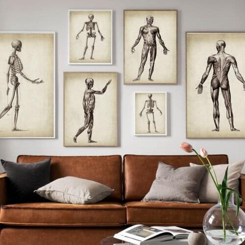 Skeleton muscle Human Anatomy Poster Vintage Wall Art Prints Canvas Painting Nordic Poster Wall Pictures For Living Room Decor