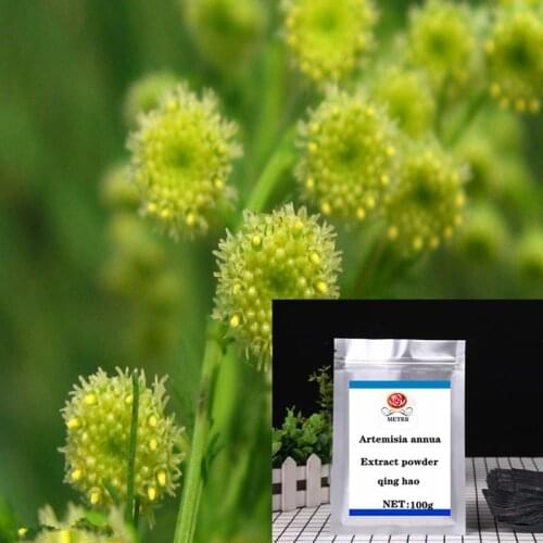 100-1000g Natural Artemisia Annua Extract Powder, Apiaceae Artemisia Extract, Wormwood, Qing Hao, Free Delivery