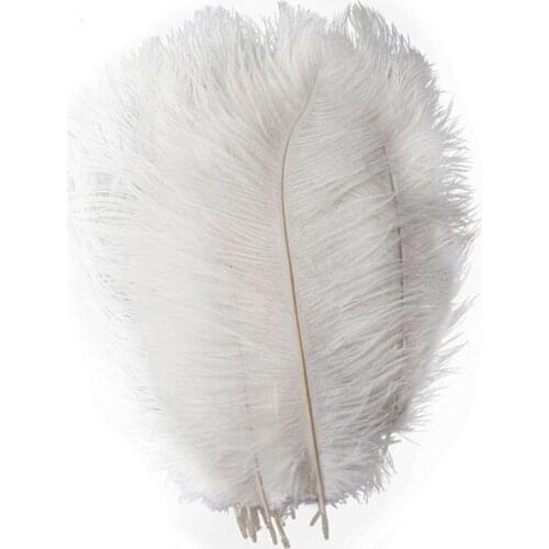 Wholesale Natural White Ostrich Feathers 15-75CM 6-30Inch Diy Christmas Party Wedding Dress Decorations White Feathers plumes
