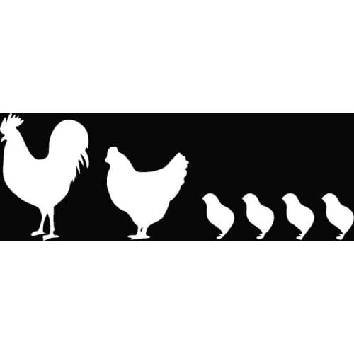 Life Is Full of Fun Chicken Family Funny window Sticker Vinyl Decal Farm Eggs Chickens Hen Rooster Chicks Funny Decal 16x12cm