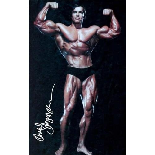 ARNOLD SCHWARZENEGGER SIGNED PHOTO Art Film Print Silk Poster Home Wall Decor 24x36inch