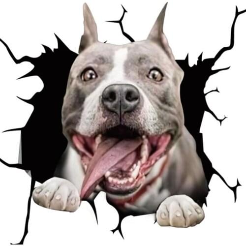 2021 Electrostatic Glass Film Pit Bull Simulation Funny Car Window Sticker Many Kinds Dog Creative Broken Car Window Painting