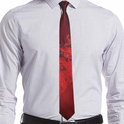 Ricnais Slim Men Ties Narrow Neckties 6cm Classic Paisley Tie for Men Formal Business Wedding Suit Silk Jacquard Woven Ties