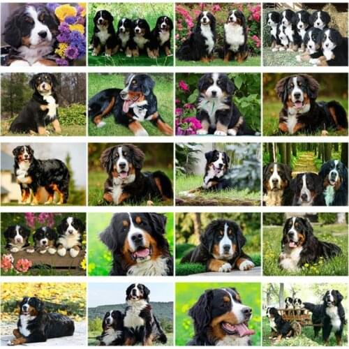 DIY 5D Diamond Painting Dog Diamond Embroidery Bernese Mountain Dogs Cross Stitch Animal Full Round Drill Mosaic Art Decor
