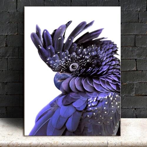 Australian Parrot Print Black Cockatoo Canvas Painting Modern Wall Art Bird Navy Blue Poster Wall Pictures for Living Room