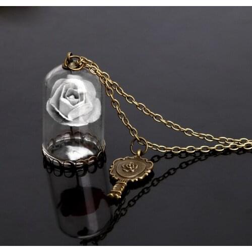 Women Romantic Dried Flowers Glass Bronze Long Chain Beauty and Beast Necklaces