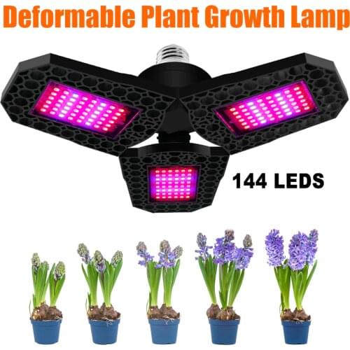 EIX Professional Lighting