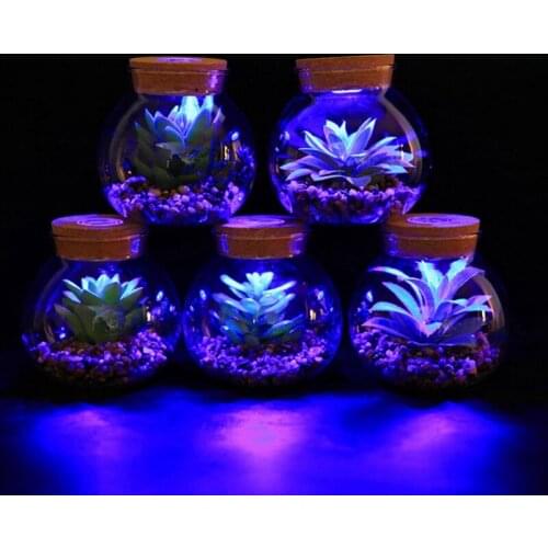 8-Types Creativite With Light Glass Vase Simulated Succulent Bonsai Home Ornaments Simulation Pot Plant Landscape Family Dector