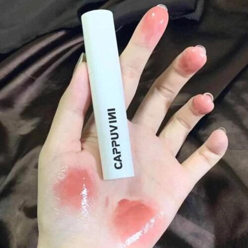 Lip Gloss Cosmetic Small White Tube Water-light Mirror Lip Glaze Does Not Fade Lasting Moisturizing Lipstick Makeup TSLM1