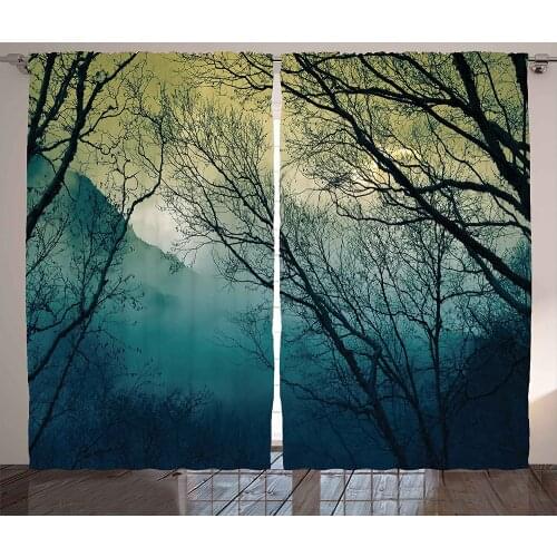 Nature Decor Window Curtains Home Decor Living Room Curtains Morning Fog In Mist Forest Mountain Valley Bedroom Window Drapes