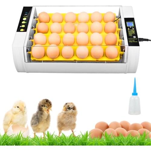 New EU US Stock Eggs Incubator 24 Eggs Digita Mini Auto-flip Incubatores For Hatching Turkey Goose Quail Chicken Egg Hatching