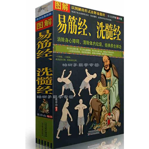 Graphic Bodhidharma Yi Jin Jing Regimen Shaolin kung fu book martial Eliminate physically and mentally handicapped classic Book