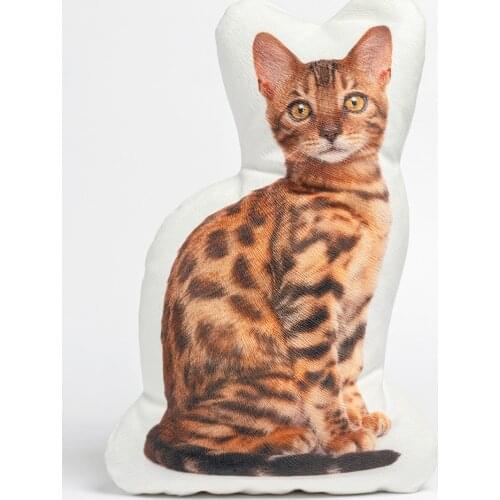 Печать Decorative Pillows