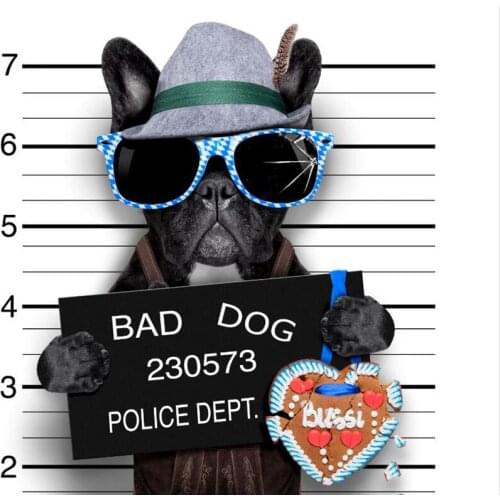 Custom wallpaper 3d mural,Dogs Bulldog Hat Glasses Humor wallpapers,living room sofa TV wall children room papel de parede