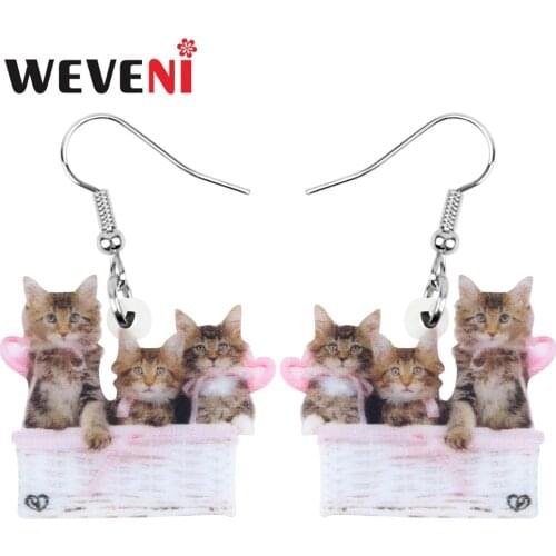 WEVENI Acrylic Valentines Day Basket Maine Cat Kitten Earrings Animal Drop Dangle Jewelry For Women Girls Teens Decoration Gift