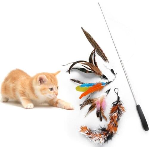 6 Pcs/set Retractable Funny Cat Stick DIY Replacement Head Pet Teaser Toys Set