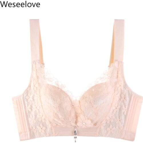 Plus Size Bra Sexy Bra Lace Bra Non-Steel Comfortable Push Up Bra Breast Hugging Underwear Lingerie Feminina Soutien Gorge E73-1