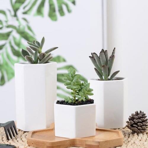 Succulent Flower Pot Fleshy Plants Hexagonal Pottery White Porcelain Pot with Tray Innovative White Ceramic Potted