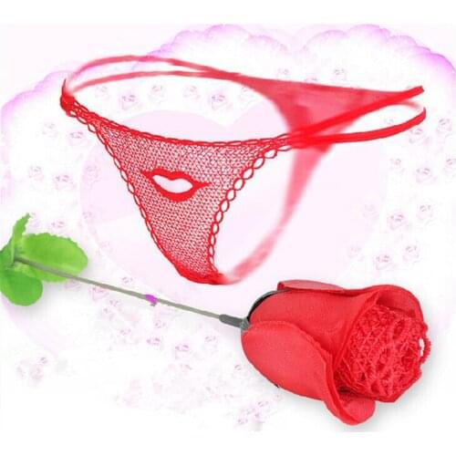 Transparent Lace Sexy Lingerie Women Exotic Apparel Erotic Lingerie Sexy Hot Erotic Underwear Women Costumes Babydolls Chemises