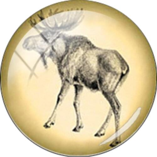 TAFREE 5pcs/lot Animal Dog Birds deer Fish Cat Image 25mm Round Glass Cabochon Dome DIY Cameo Pendant Settings