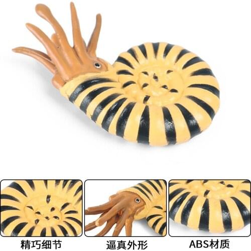 Ancient creatures Nautilus Sea Animal Cognition Action Figures Kids Plastic Toys Animal Figure Collectible Toys