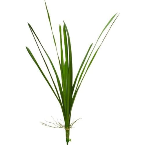 Fake Plant Artificial Succulents Decoration PU Home Reusable And Easy To Clean Bonsai Office Wedding Simulation Leaf Pot