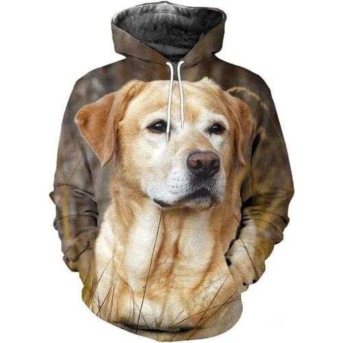Labrador Retriever Dog 3D Jacket Men/women Casual Streetwear Hoodies Boys Hip Hop Kawaii Hood Sweatshirts Mens Hipster Clothes
