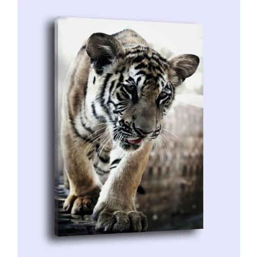 5d Full Square Round Drill Embroidery Cubs Tiger Diy Diamond Painting Cross Stitch Kits Mosaic Christmas DecorationZP-2743