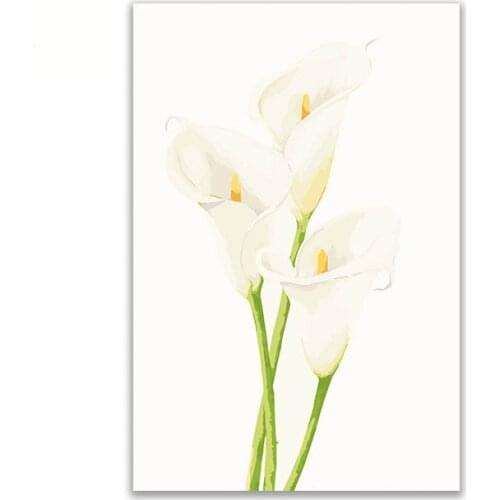 Coloring by numbers Calla lily flowers diy paintings pictures draw on canvas with colors framed for living room decor