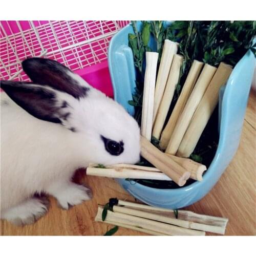 Small Pet Sweet Bamboo Chew Toy for Rabbits Guinea Pigs Chinchilla Hamster