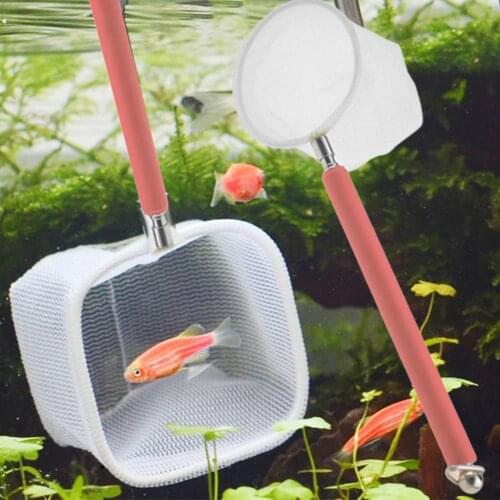 Aquarium Tank Fish Shrimp Skimming Net Mesh Extendable Stainless Steel Handle